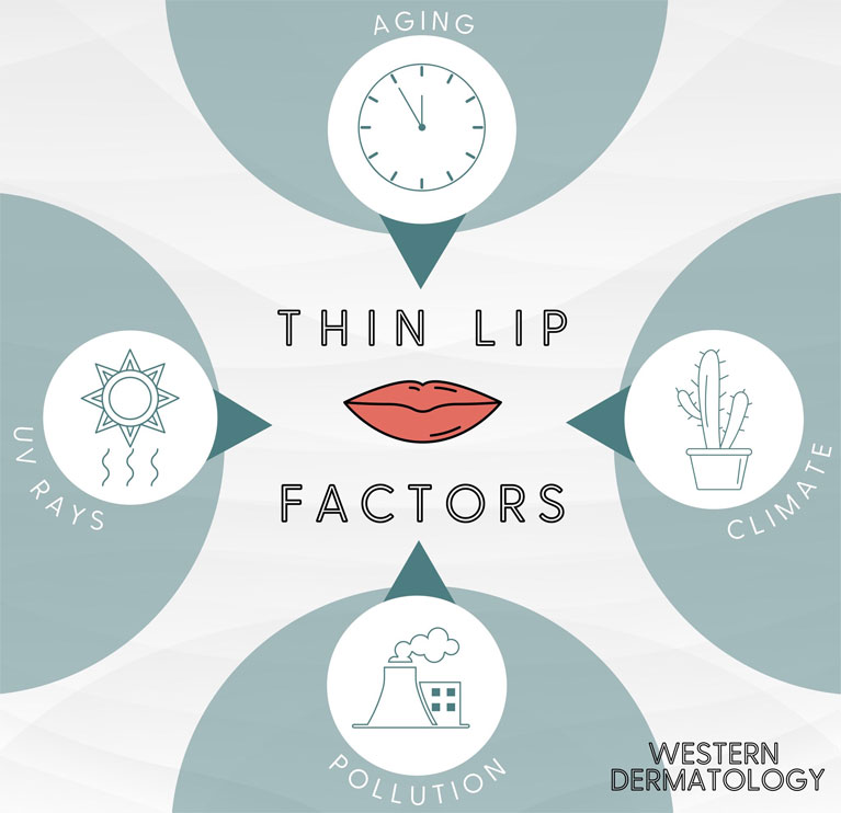 While you should protect yourself against harmful elements cause lips to thin, you can also get volume-boosting lip injections at Albuquerque's Western Dermatology Consultants.